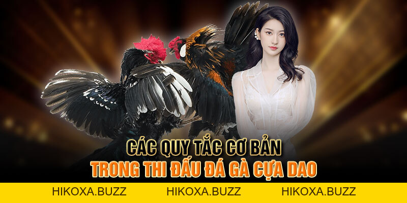 Trải Nghiệm đá Gà Mỹ Cựa Dao đầy Kịch Tính Và Hấp Dẫn