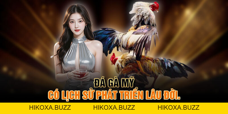 Trải Nghiệm đá Gà Mỹ Cựa Dao đầy Kịch Tính Và Hấp Dẫn