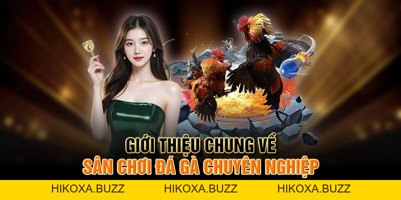 Đá Gà F168 - Khung Bậc Giải Trí Hấp Dẫn Bậc Nhất