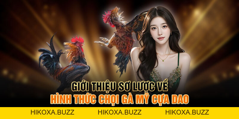 Trải Nghiệm đá Gà Mỹ Cựa Dao đầy Kịch Tính Và Hấp Dẫn