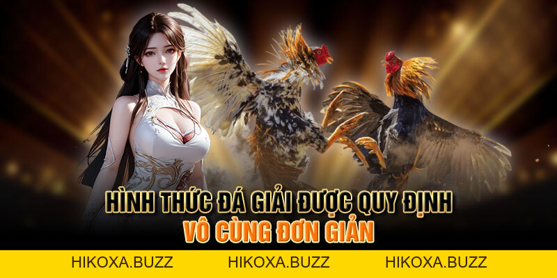 Tất Tần Tật Về đá Giải Thomo Hấp Dẫn Cho Người Chơi Mới
