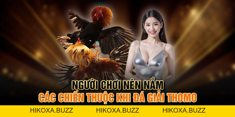 Tất Tần Tật Về đá Giải Thomo Hấp Dẫn Cho Người Chơi Mới