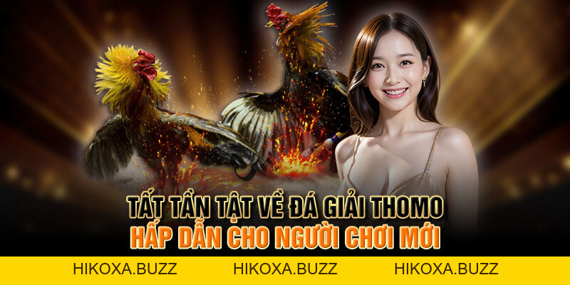 Tất Tần Tật Về đá Giải Thomo Hấp Dẫn Cho Người Chơi Mới