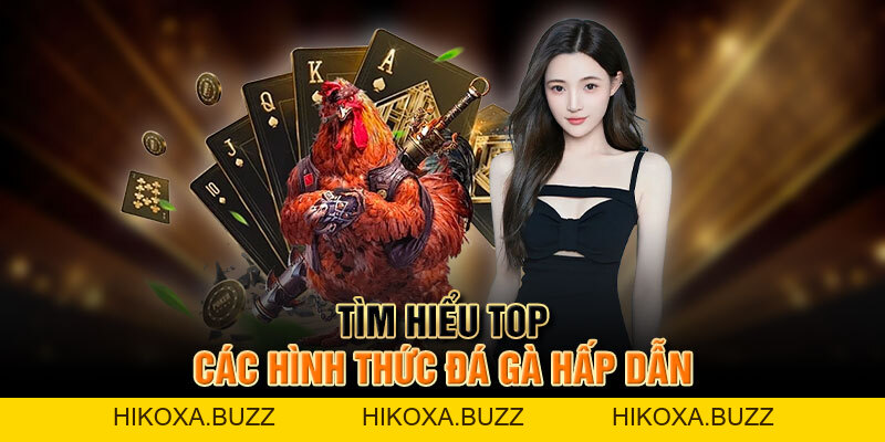 Đá Gà F168 - Khung Bậc Giải Trí Hấp Dẫn Bậc Nhất