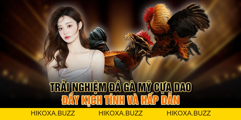Trải Nghiệm đá Gà Mỹ Cựa Dao đầy Kịch Tính Và Hấp Dẫn