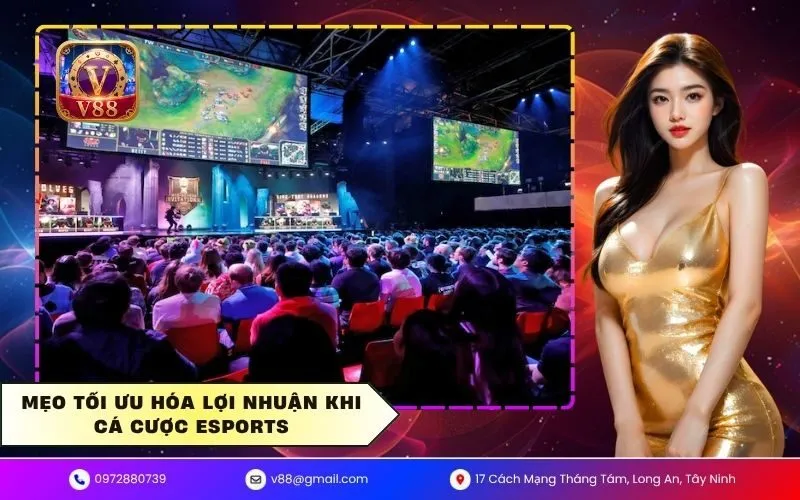 Ưu đãi cá cược esports dành riêng cho tân thủ năm nay